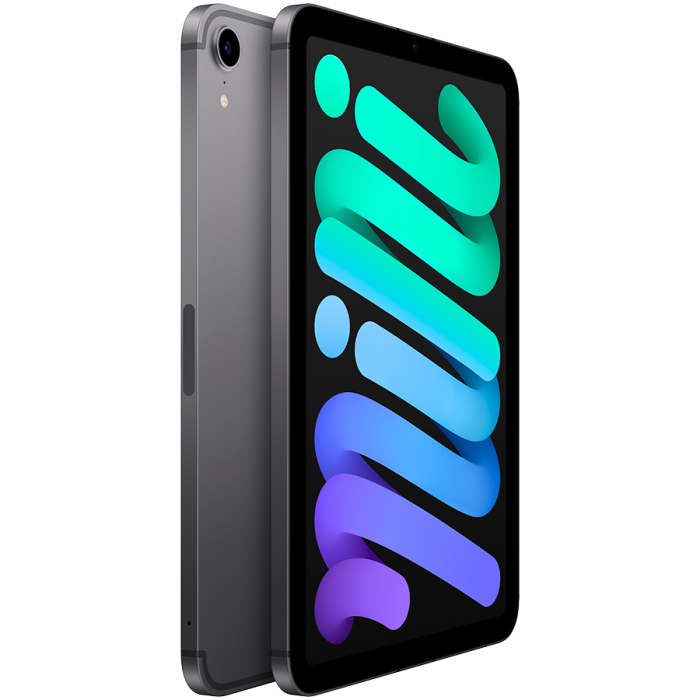Apple iPad mini (2021) Wi-Fi + Cellular 64ГБ серый космос (MK893)
